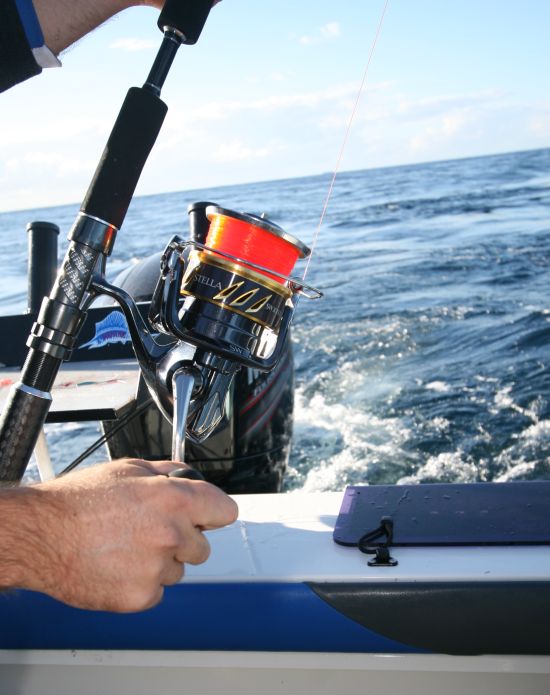 Sneak Peek: Shimano Stella 30,000 - The Big Beast! - Fishing Sneak Peek: Shimano Stella 30,000 - The Big Beast! - Fishing